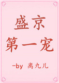 盛京第一寵小说封面