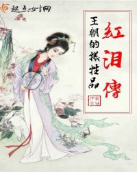 红泪传：王朝的牺牲品小说封面